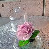Изображение №6511