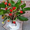 Изображение №6531