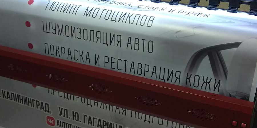 Изображение №2724