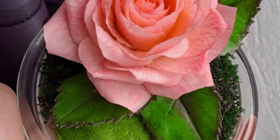 Изображение №6513