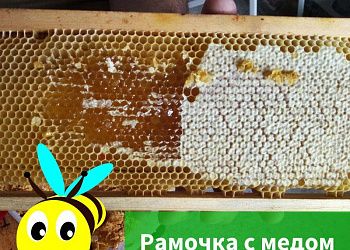 Изображение №