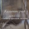 Изображение №6031