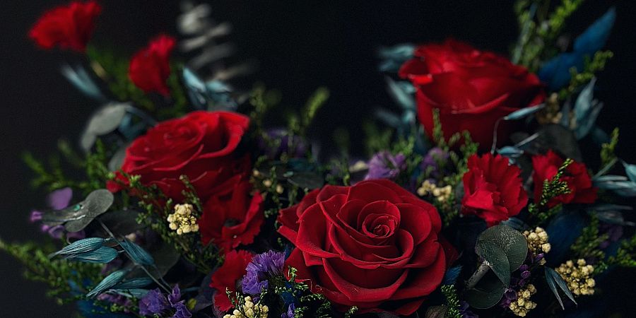 Изображение №4473
