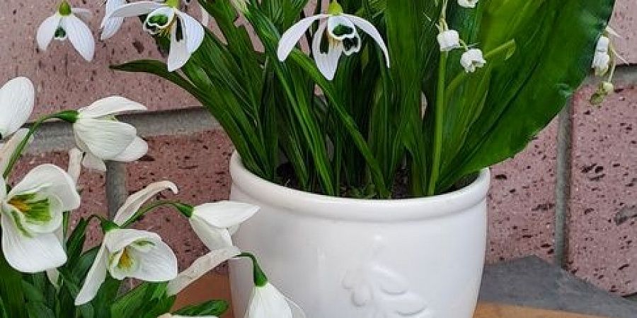 Изображение №6602