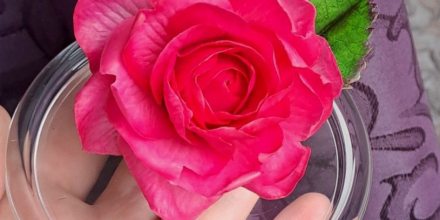Изображение №6517