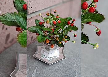 Изображение №