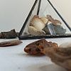 Изображение №6275